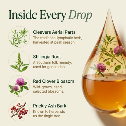 Everflow® Lymphatic Drainage Drops